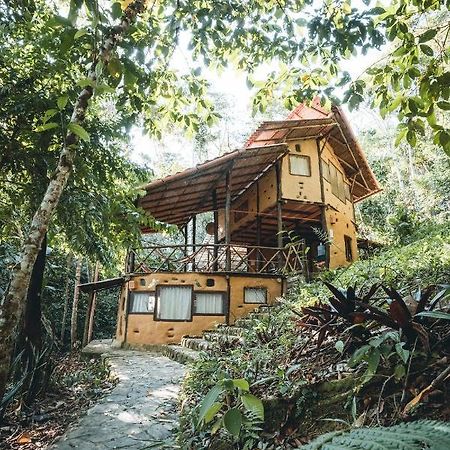 Chirapa Manta Amazon Lodge Lamas المظهر الخارجي الصورة