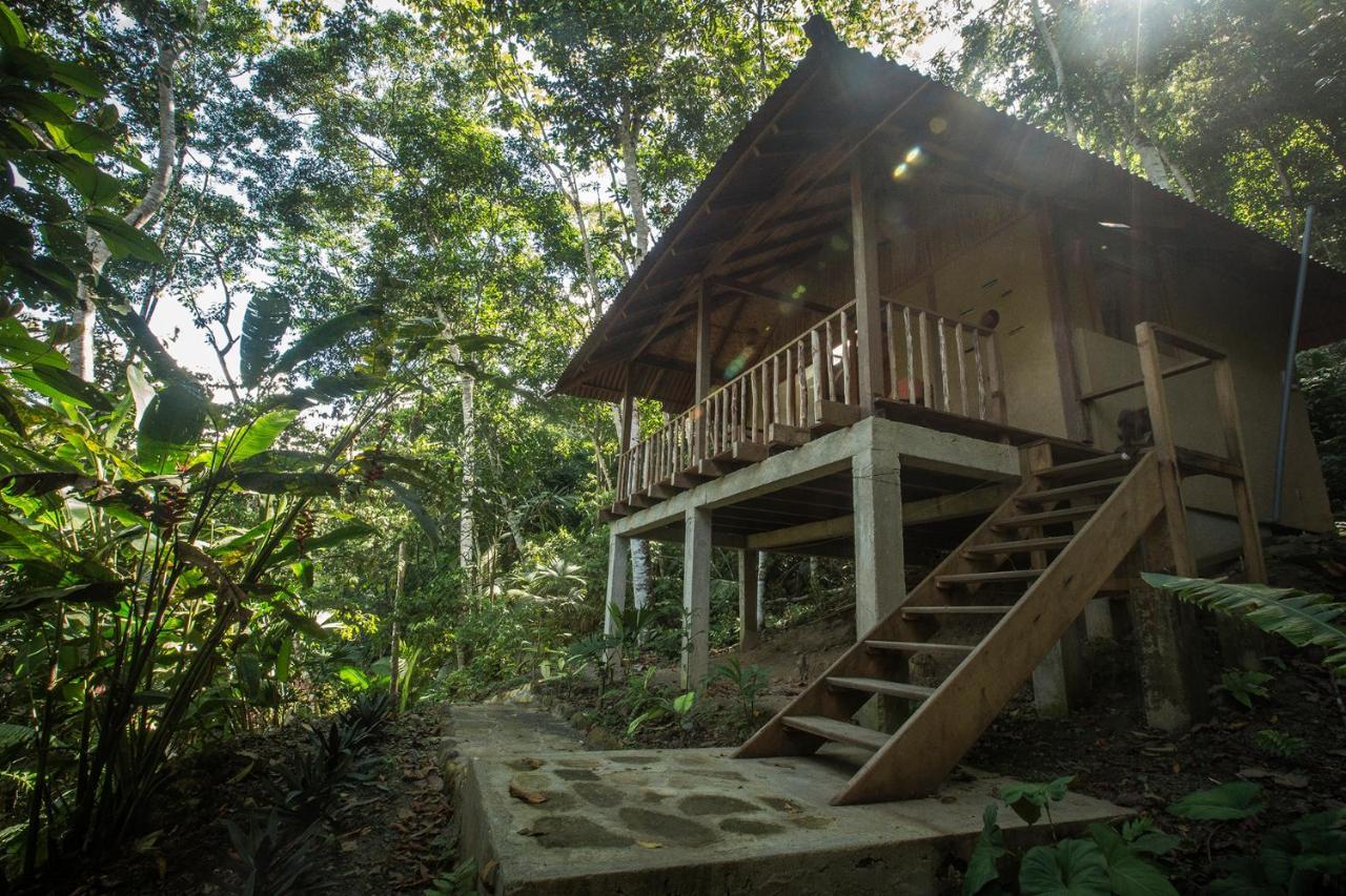 Chirapa Manta Amazon Lodge Lamas المظهر الخارجي الصورة