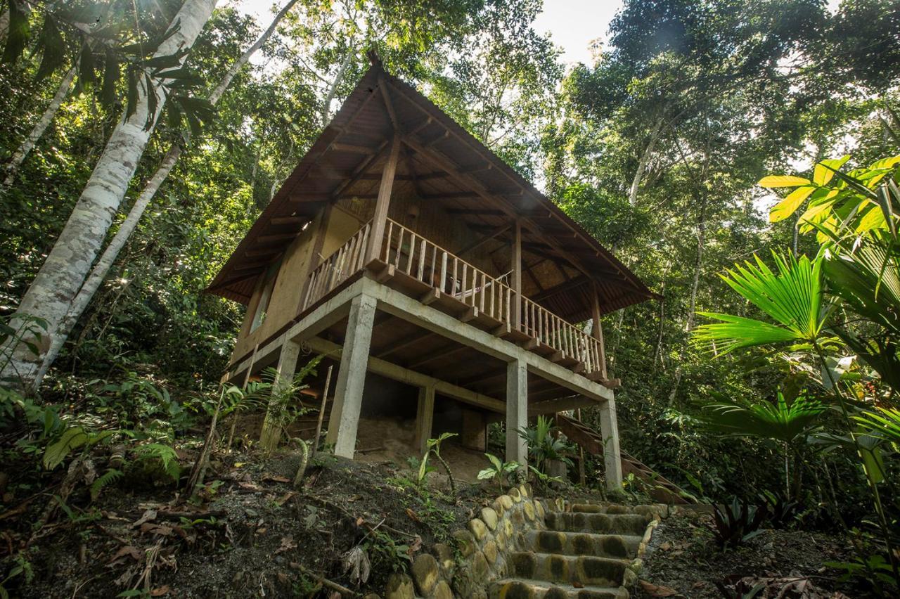 Chirapa Manta Amazon Lodge Lamas المظهر الخارجي الصورة