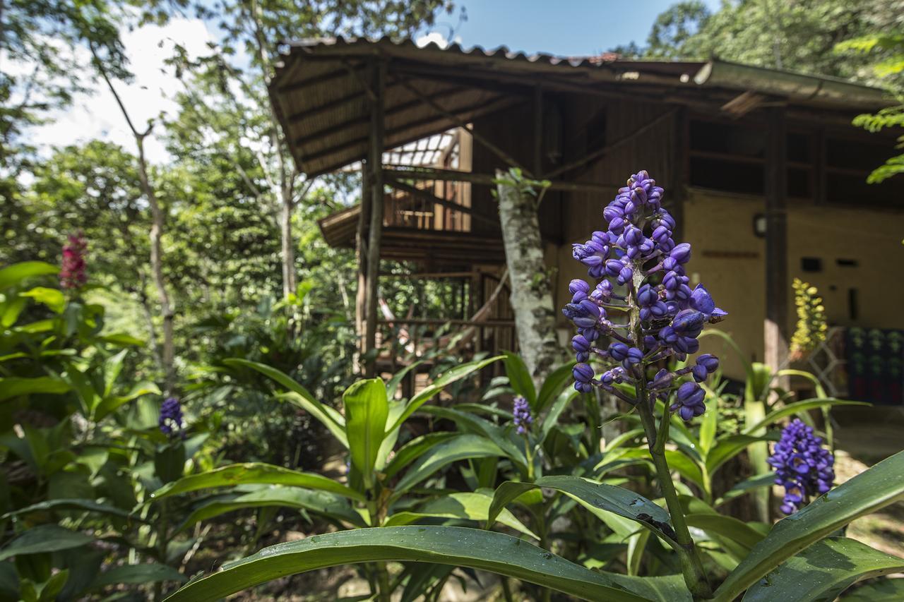 Chirapa Manta Amazon Lodge Lamas المظهر الخارجي الصورة