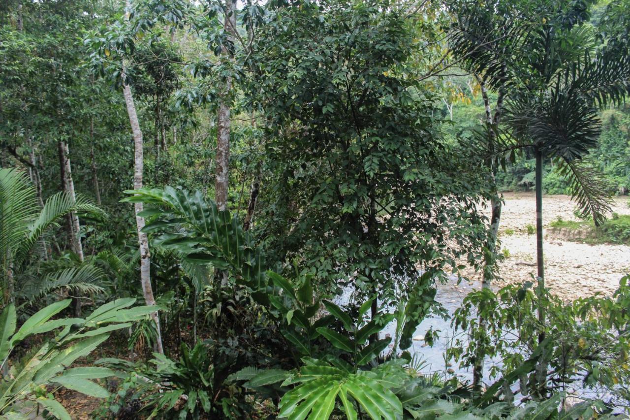 Chirapa Manta Amazon Lodge Lamas المظهر الخارجي الصورة