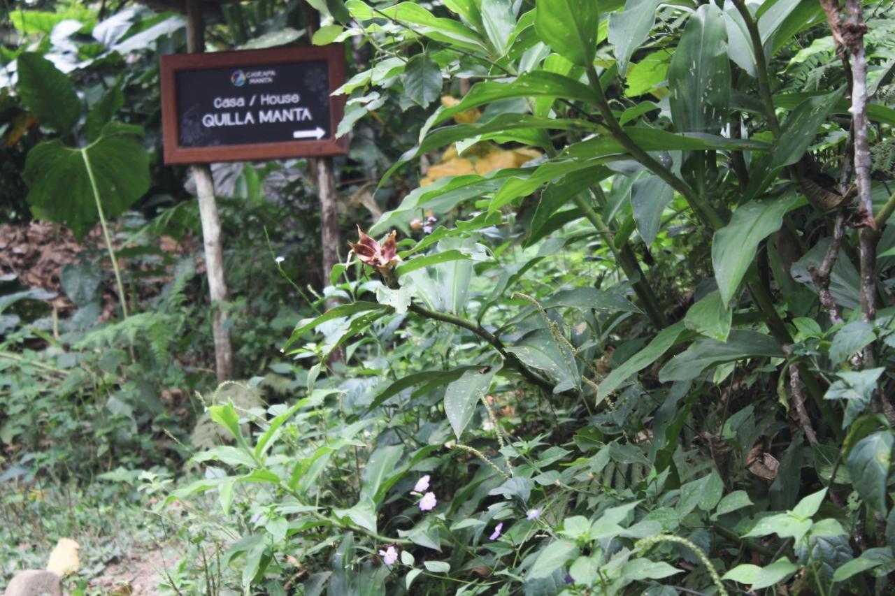 Chirapa Manta Amazon Lodge Lamas المظهر الخارجي الصورة